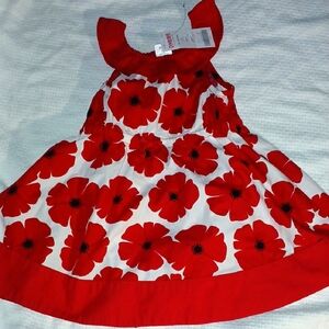 Gymboree Infant Floral Dress